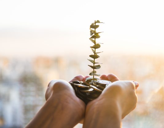 Net Rental Yield Calculation for Real Estate Investors