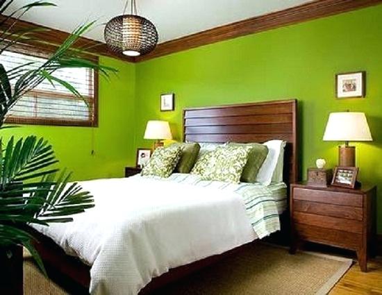 GREEN GIVES LIFE TO YOUR ROOM.