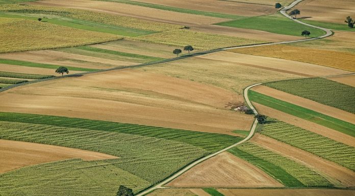 A Guide To Finding The Right Plot