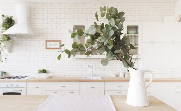Importance of House Plants To Your Health Importance of houseplants