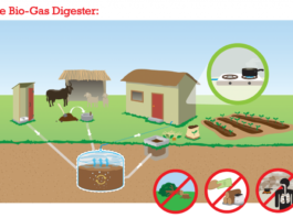 Will bio-digester replace septic tanks?