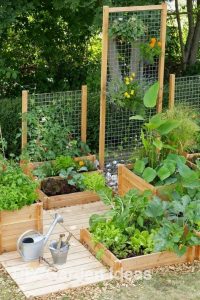 SIMPLE AND CHEAP LANDSCAPING IDEAS. - Kenya Homes