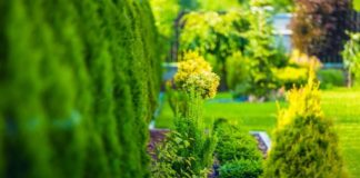 Easy Landscaping Tips to Improve Home Security