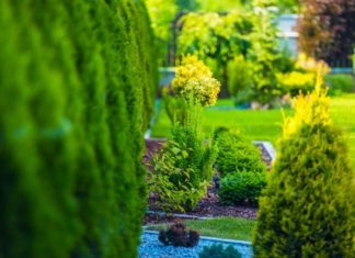 Easy Landscaping Tips to Improve Home Security