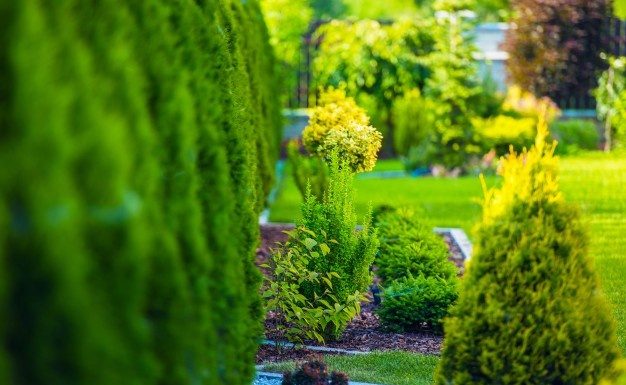 Easy Landscaping Tips to Improve Home Security