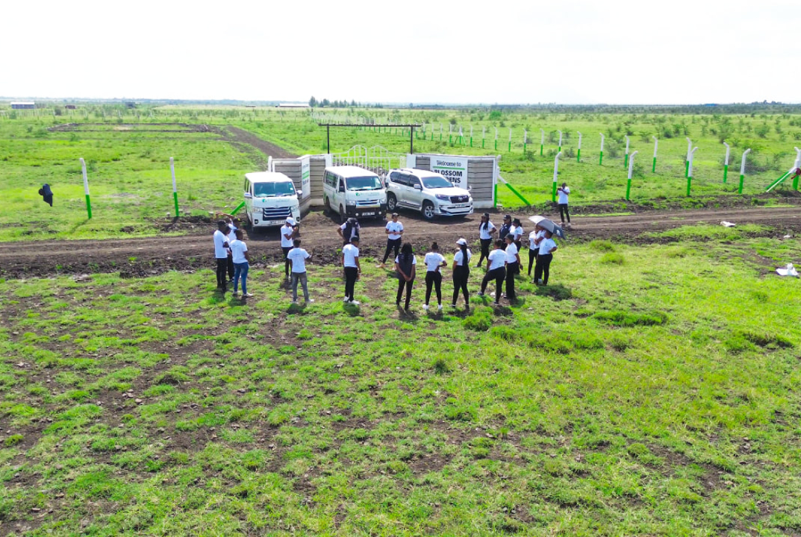 Ruiru East Kamakis Mwalimu Farm Blossom Gardens Phase IX