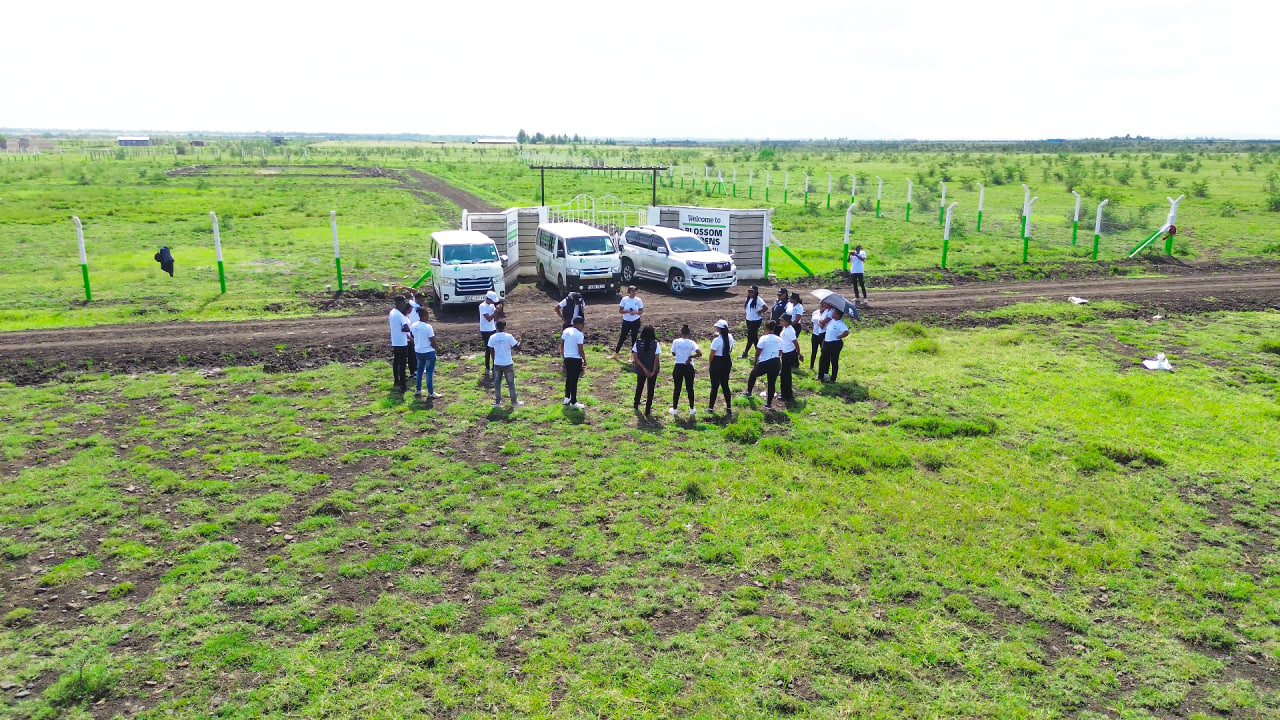 Ruiru East Kamakis Mwalimu Farm Blossom Gardens Phase IX