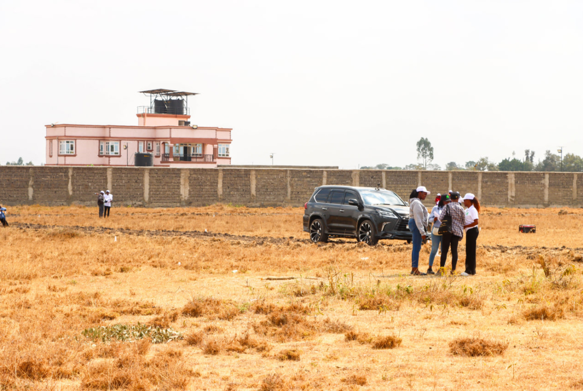 Ruiru East Kamakis Mwalimu Farm Hazina Gardens