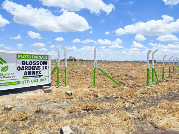 Ruiru East Kamakis Mwalimu Farm Blossom Gardens Phase (IX) Annex